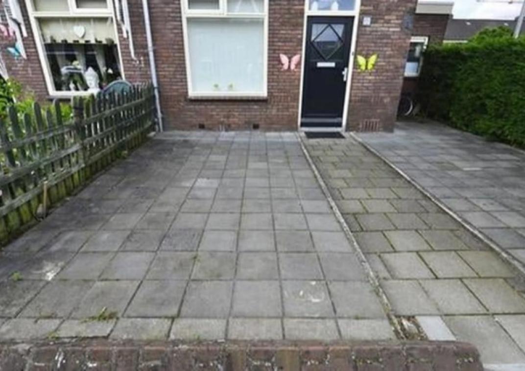 Illustratieve weergave van een versteende tuin