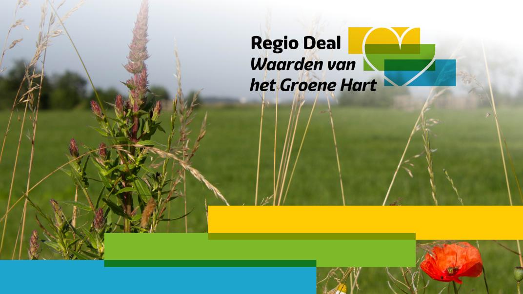 Regio Deal